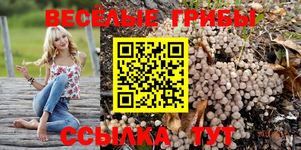 Галлюциногенные грибы ЛСД Чапаевск