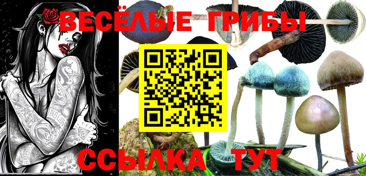 Галлюциногенные грибы Magic Shrooms  Вход с VPN  купить наркотик  Чапаевск 